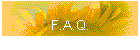 F.A.Q.